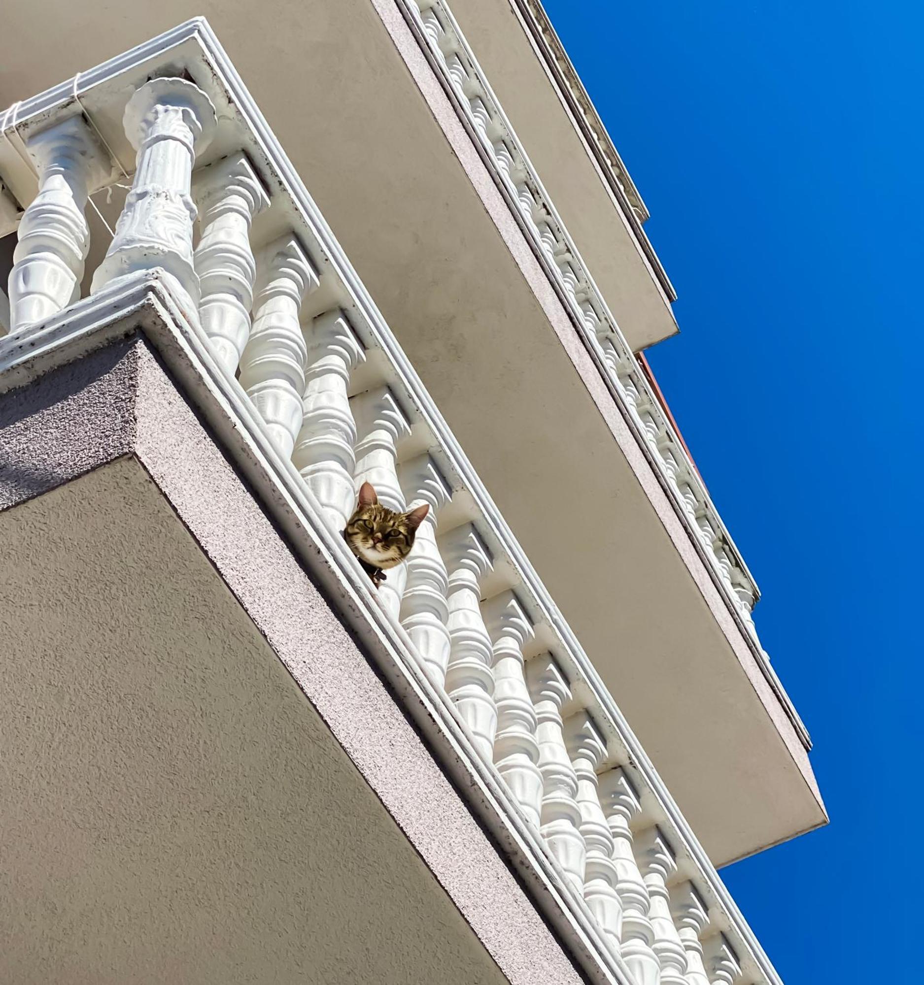 Northgate Apart-Villa Shkoder Exterior photo
